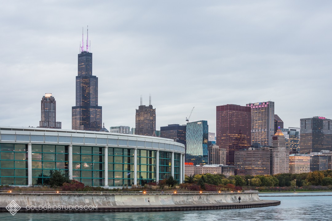 Shedd Aquarium and Chicago Skyline